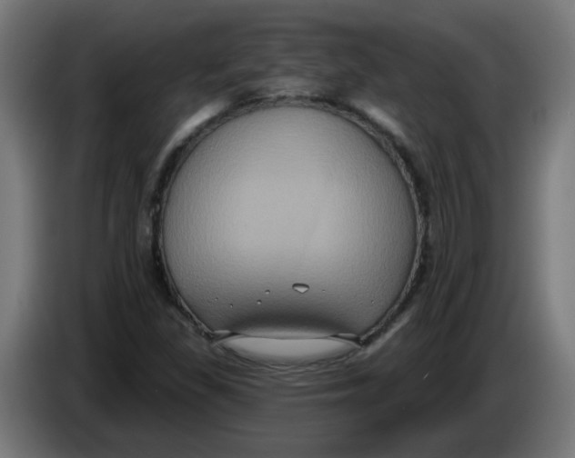 X0000086221309200704191730