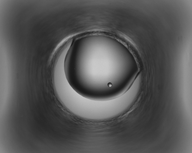 X0000086221310200704191730