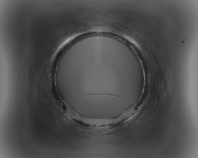 X0000086221311200704191730