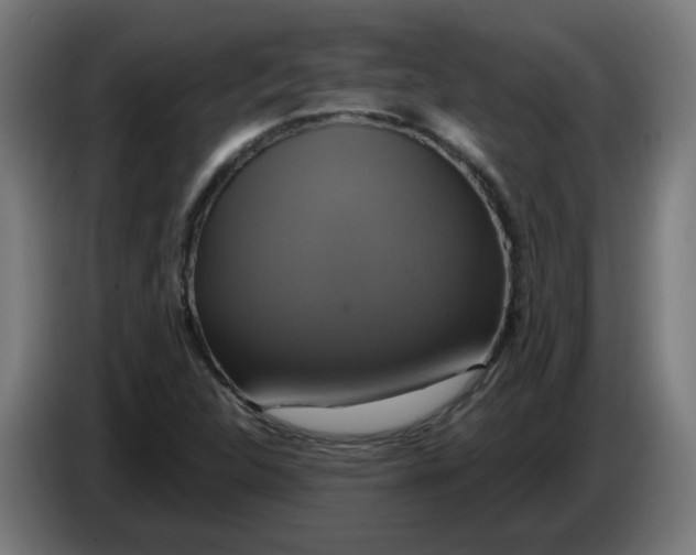 X0000086221312200704191730