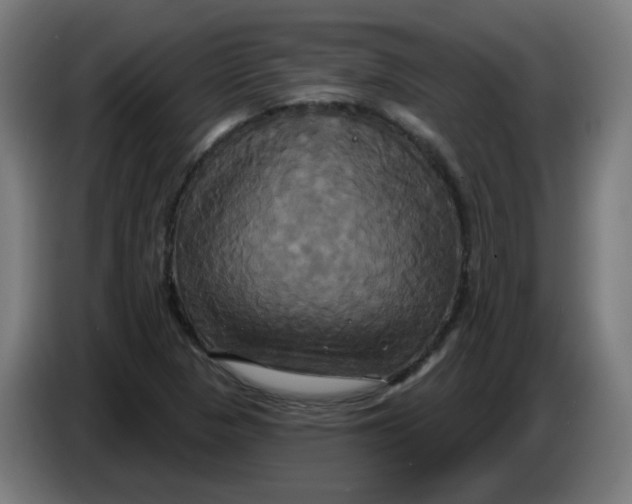 X0000086221313200704191730