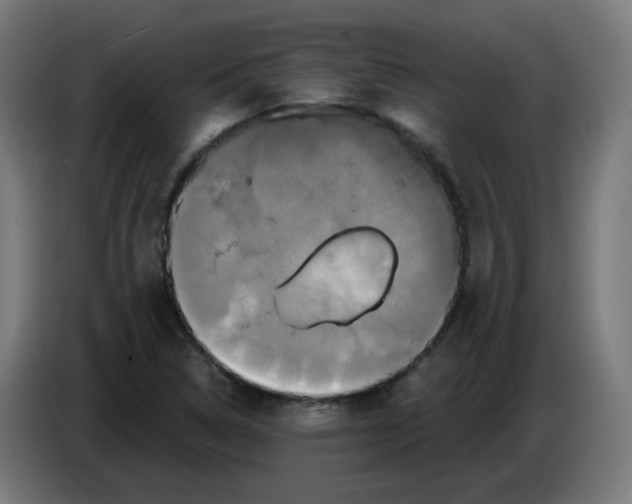 X0000086221314200704191730