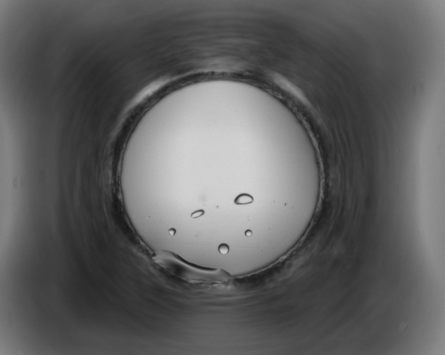 X0000086221315200704191730