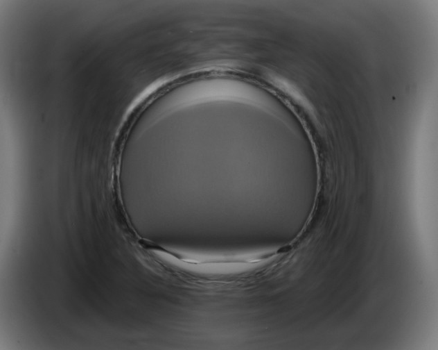 X0000086221316200704191730