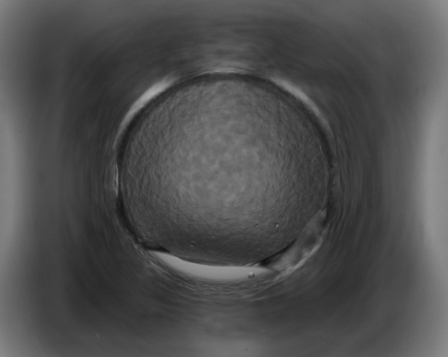 X0000086221317200704191730