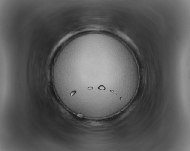 X0000086221318200704191730