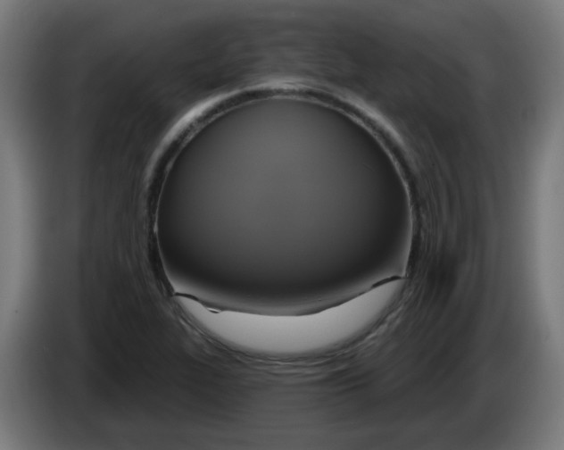 X0000086221319200704191730