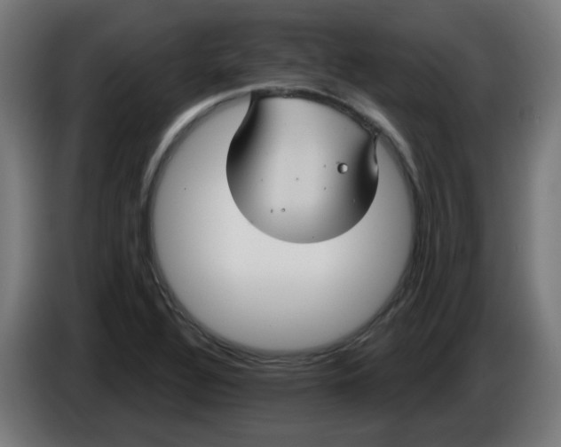 X0000086221320200704191730