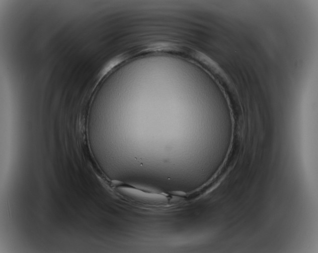 X0000086221321200704191730