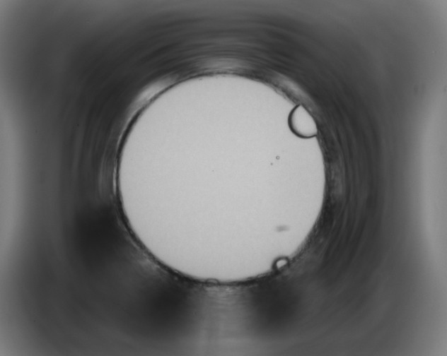 X0000086221322200704191730