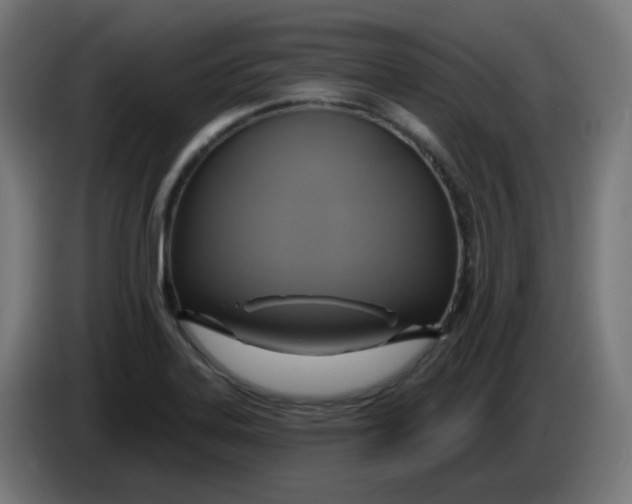 X0000086221323200704191730