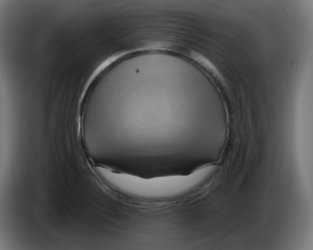 X0000086221324200704191730