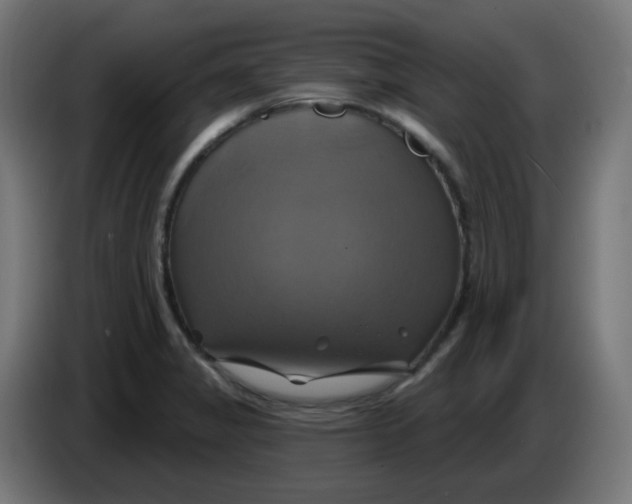 X0000086221325200704191730