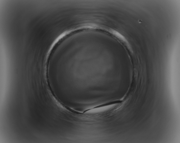 X0000086221326200704191730