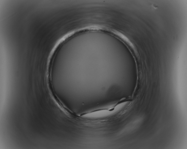 X0000086221327200704191730