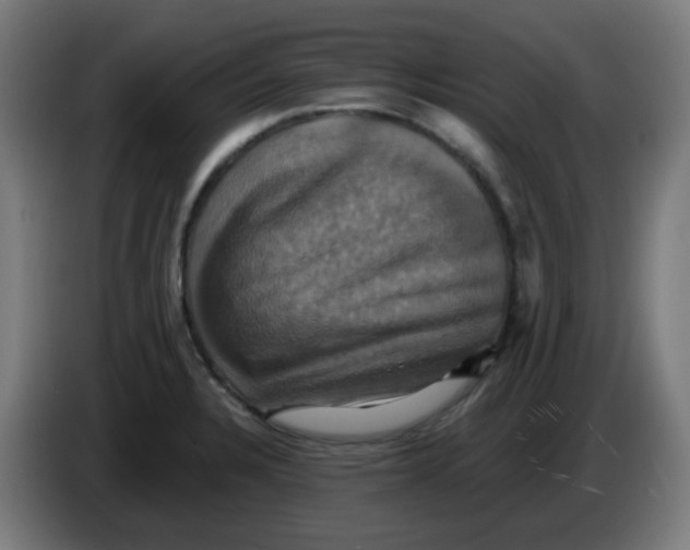 X0000086221328200704191730