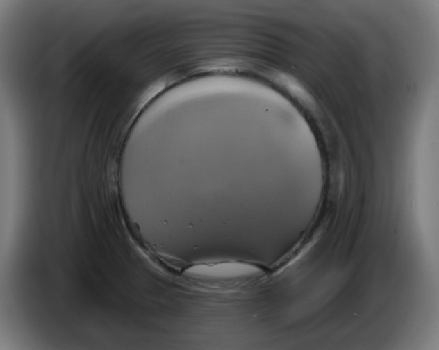 X0000086221329200704191730