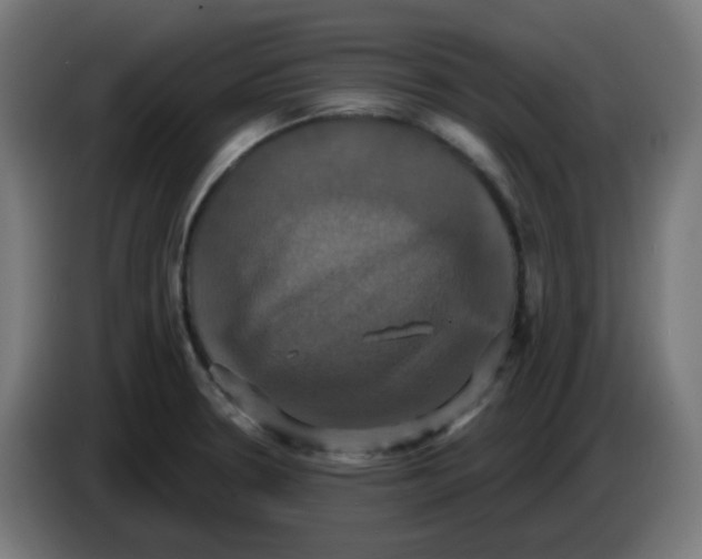 X0000086221330200704191730