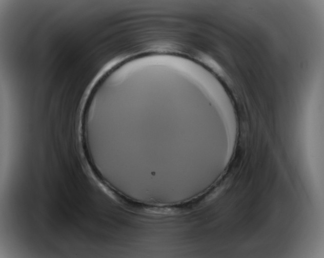 X0000086221331200704191730