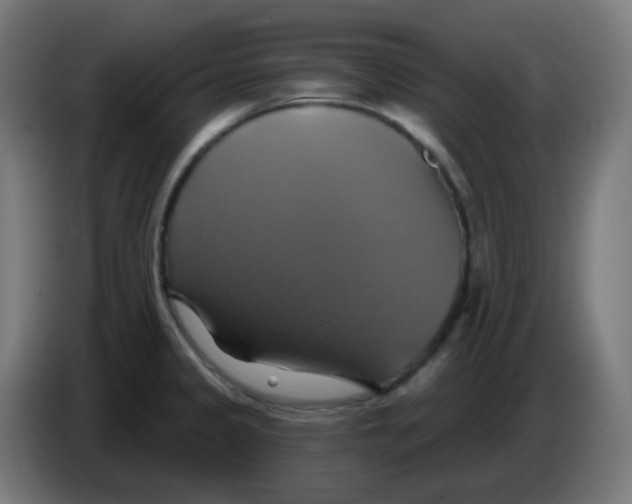 X0000086221333200704191730