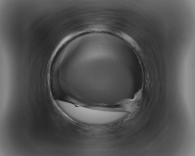 X0000086221334200704191730