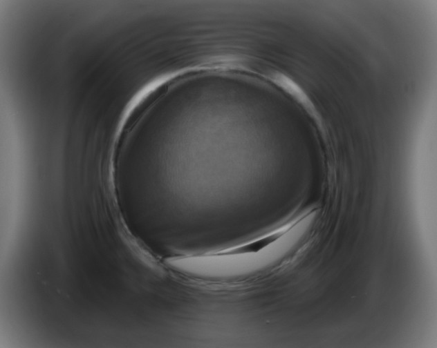 X0000086221336200704191730