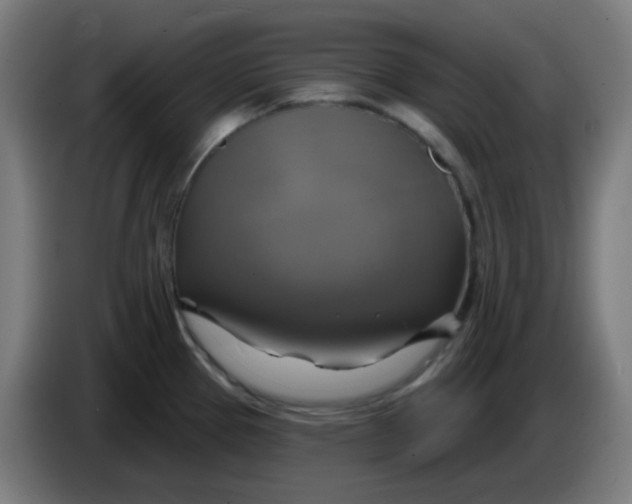 X0000086221337200704191730