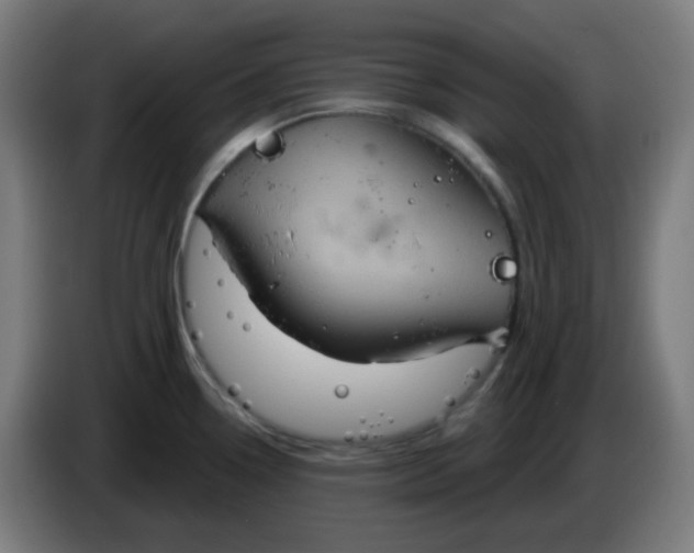 X0000086221338200704191730