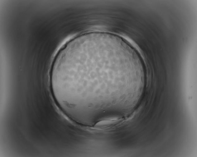 X0000086221341200704191730