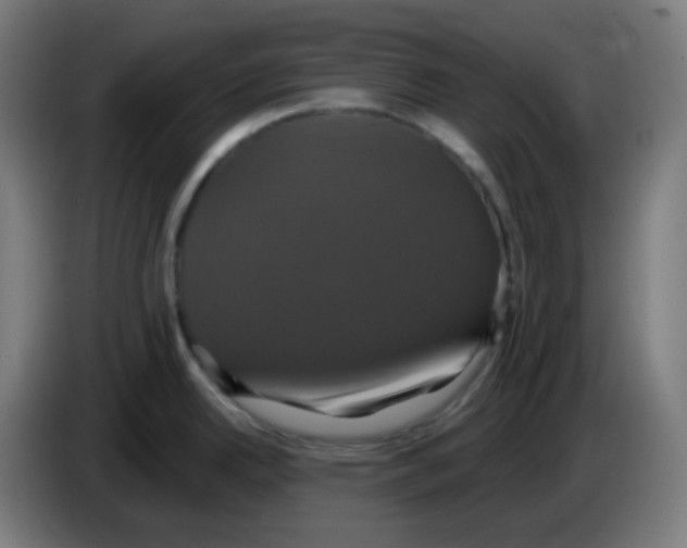 X0000086221342200704191730