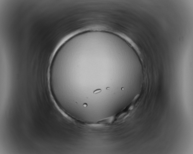 X0000086221343200704191730