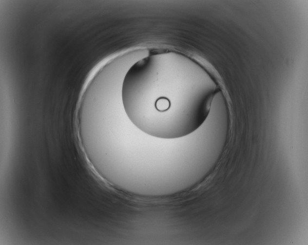 X0000086221344200704191730