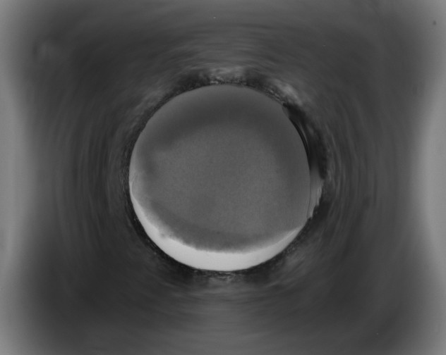 X0000086221345200704191730