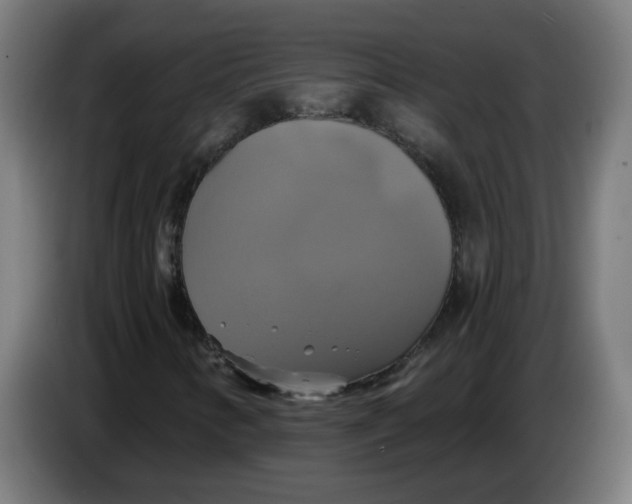 X0000086221346200704191730