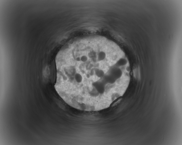 X0000086221347200704191730