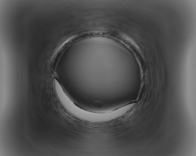 X0000086221352200704191730