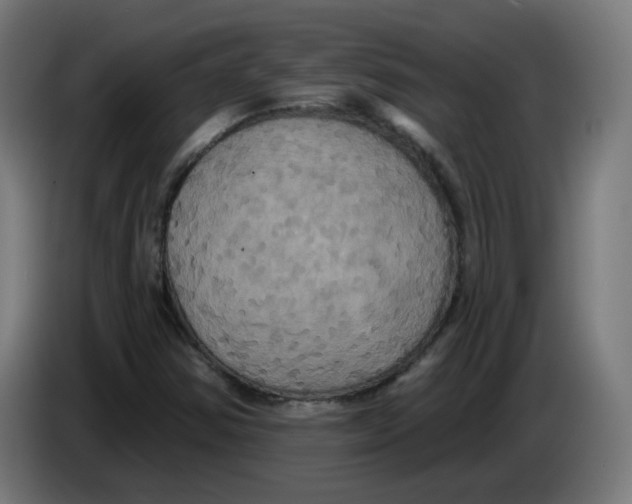 X0000086221354200704191730