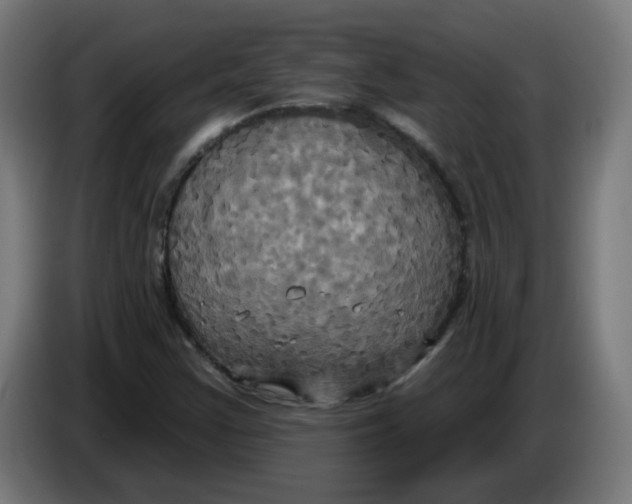 X0000086221355200704191730