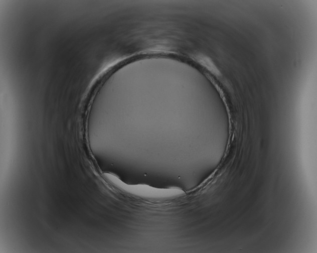 X0000086221356200704191730