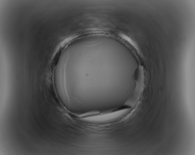 X0000086221357200704191729