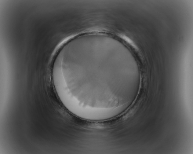 X0000086221358200704191729