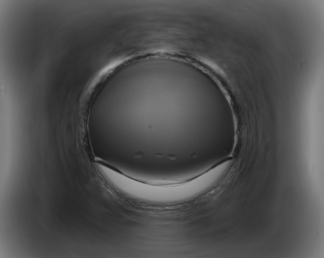 X0000086221359200704191729