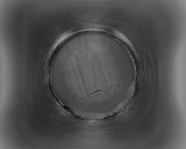 X0000086221360200704191729