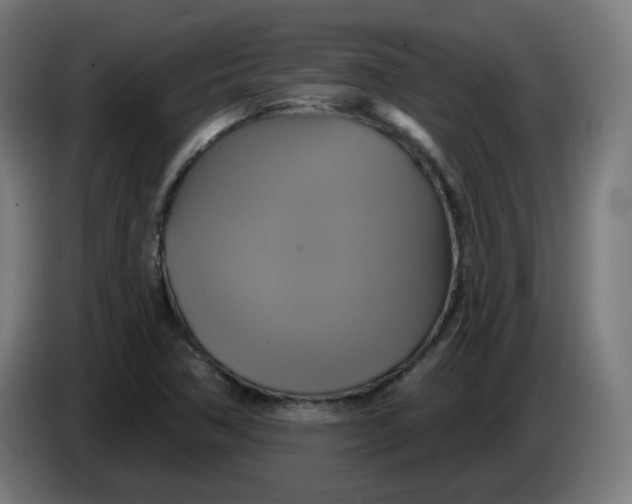 X0000086221362200704191729