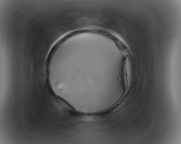 X0000086221364200704191729