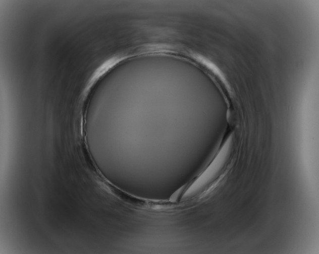 X0000086221365200704191729