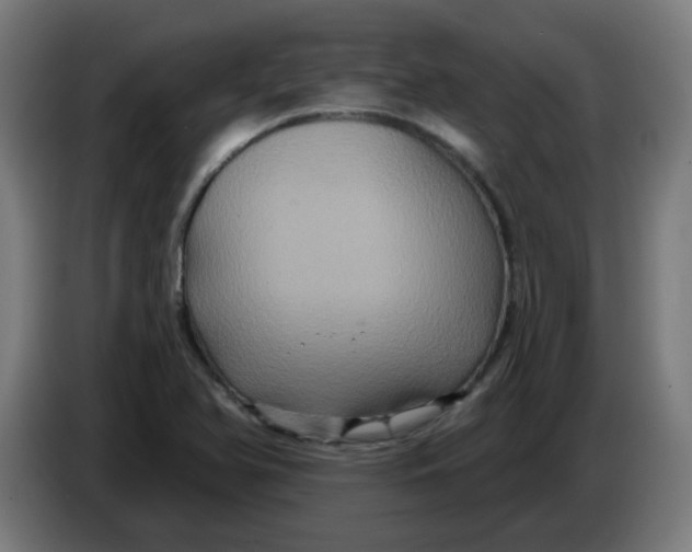 X0000086221366200704191729