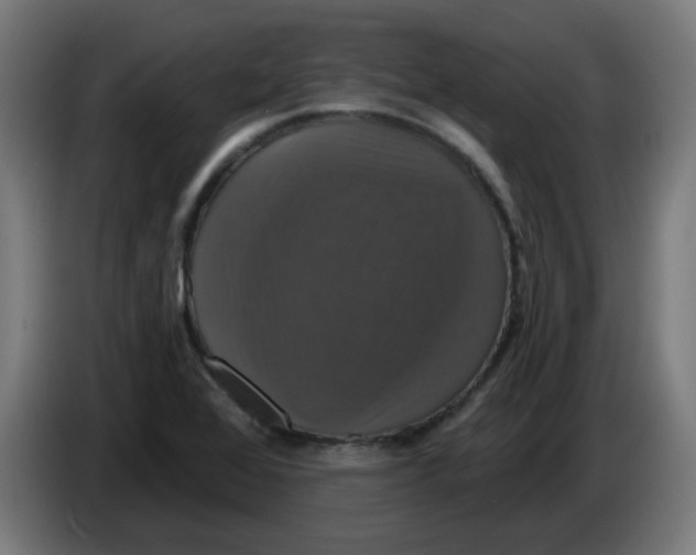 X0000086221368200704191729