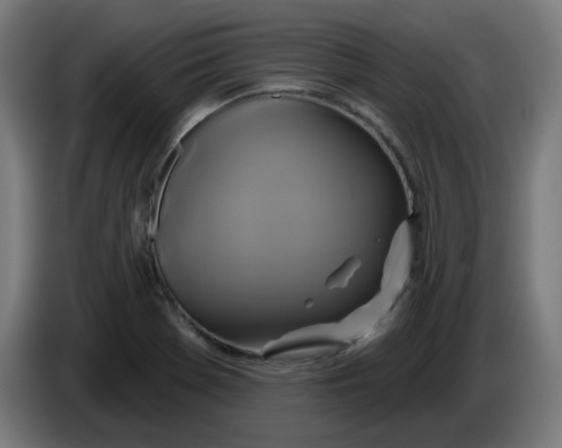 X0000086221369200704191729