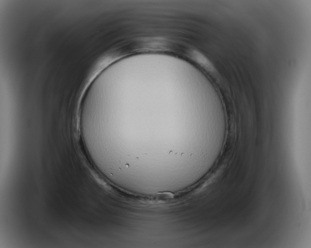 X0000086221370200704191729